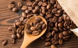 麝香猫咖啡多少钱一斤（婆罗洲麝香猫咖啡）