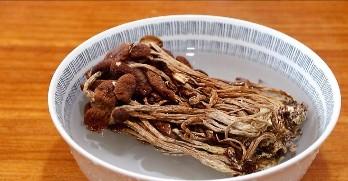 炒茶树菇的家常做法（茶树菇的最佳搭配食物）