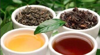 绿茶的功效对女性的好处（绿茶与红茶的功效区别）
