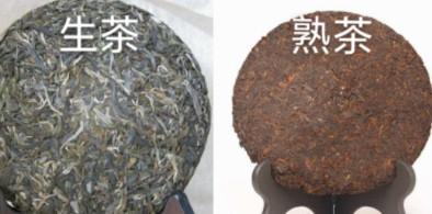 普洱生茶和熟茶的区别减肥（普洱生茶和熟茶怎么喝）