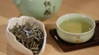 白茶的种类主分为四类功效（白茶的种类及其品质特征）