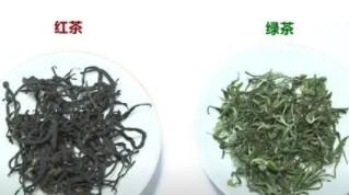 红茶和绿茶是一种茶树吗（红茶和绿茶哪个对身体更好）