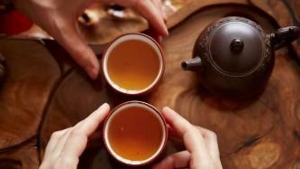 野茶是什么品种的茶叶（野茶是什么品种的茶叶?）