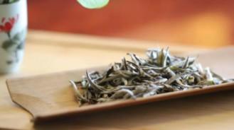 白牡丹茶是什么茶叶（白牡丹茶叶的功效和作用）