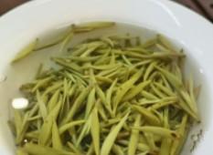 汉中毛尖的功效与作用（女人喝毛尖茶的好处和坏处）