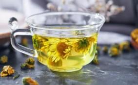 菊花茶的功效与作用及禁忌（冬天可以每天喝菊花茶吗）