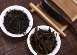 普洱茶功效作用与主治与用量（生普洱茶的作用与功效）