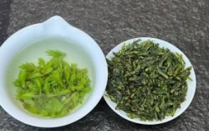 喝茶的好处和坏处及注意事项（喝茶好处多还是坏处多）