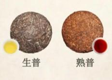 普洱生茶和熟茶的区别减肥（普洱生茶和熟茶怎么喝）