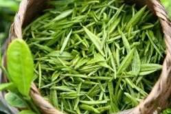 绿茶有哪些品种（兰花香铁观音是绿茶吗）