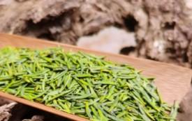 年轻人适合喝什么茶（年轻人推荐喝的茶）